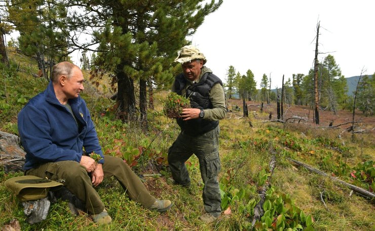 Путин и Шойгу в Сибири