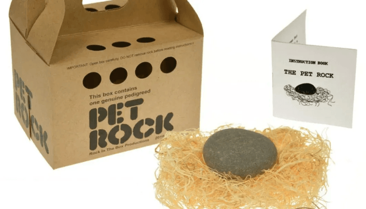 Став мільйонером продаючи каміння, Pet Rock, домашній камінь, продавав каміння, феномен, жарт у барі, Гері Даль, мільйонер