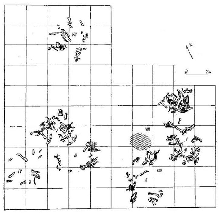 Стоянку виявили у 1956 році