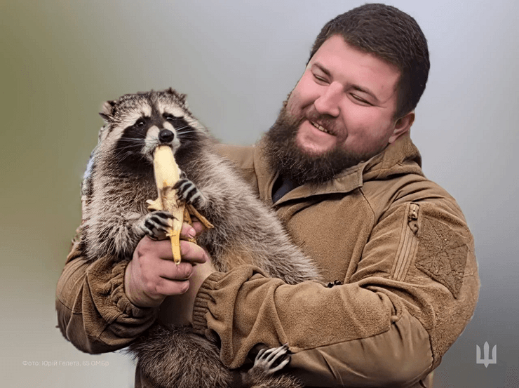 Тварини війни в проєкті Фото з війни