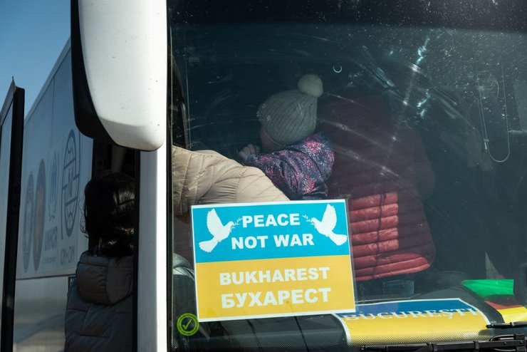 на территории Румынии, можно пройти все необходимые процедуры и получить полный комплект документ, позволяющий перевозить животное дальше