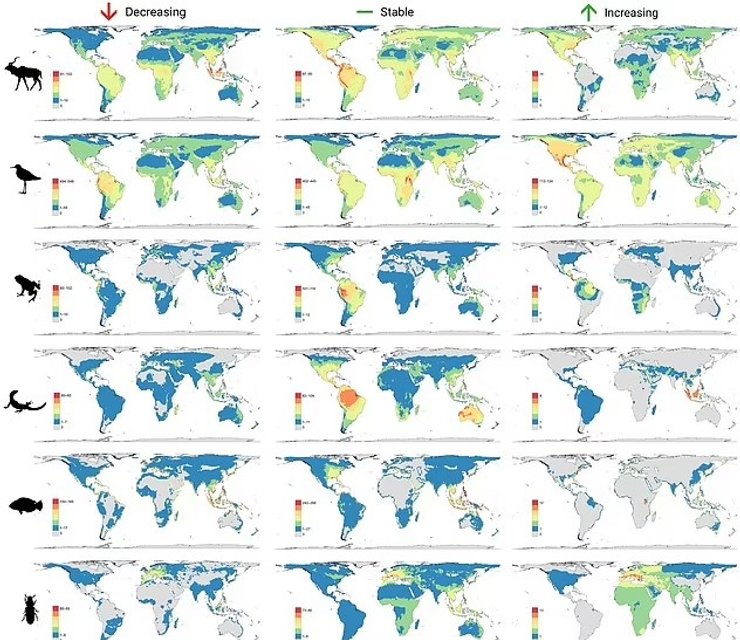вымирающие виды