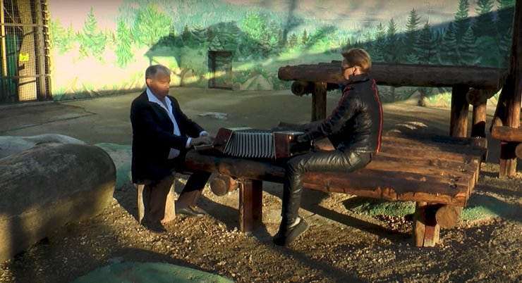 Одеса, зоопарк, Одеський зоопарк, кліп, Новий рік, рік Тигра