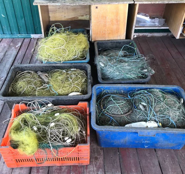 сети, браконьеры, киевщина, фото