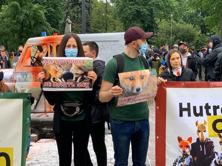 зоозащитники