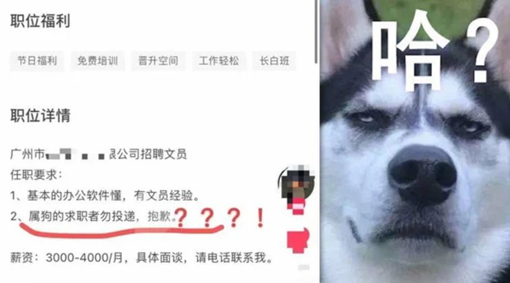 Собеседование, прием на работу, HR, рекрутинг, объявление о приеме на работу, не хотят принимать на работу, как найти работу