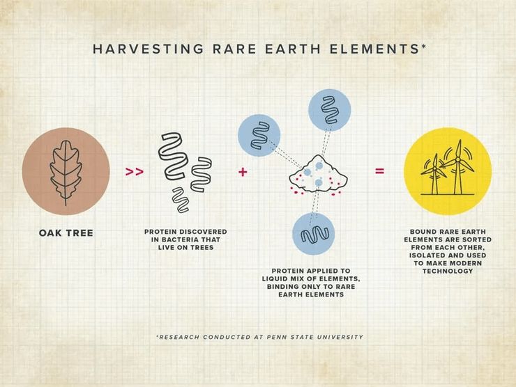 білок, рідкісноземельні елементи, неодим, диспрозій, сталі технології, чиста енергія, наука, розробка, бактерія, синтез, турбіни, елементи, золото, видобуток копалин, дослідження, хімія, наука