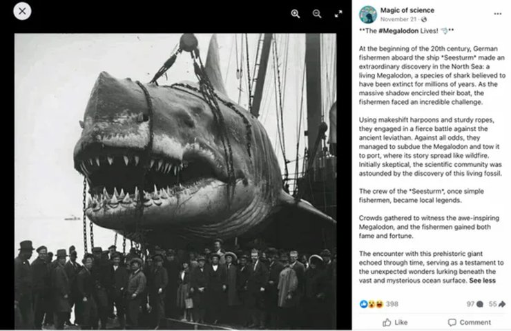 Мегаладон, акула, огромная акула, доисторическая акула, проверка фактов, соцсети, ИИ, команда судна "Seesturm", живой мегалодон