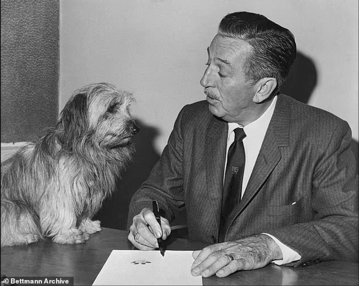 погребение, собака, волт дисней, актер, история