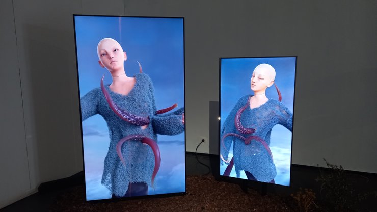 Сады грез, Центр современного искусства М17