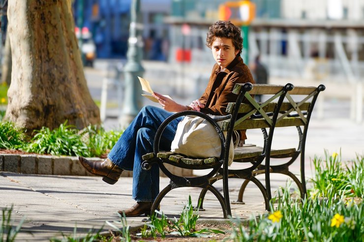 тимоти шаламе, боб дилан