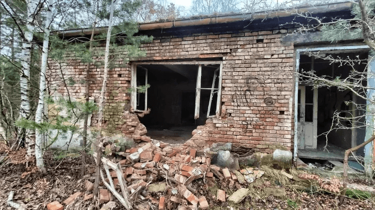 їдальня ліс фрн