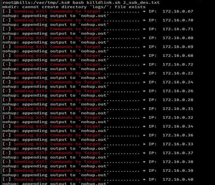 Снимки предоставлены источником Фокуса