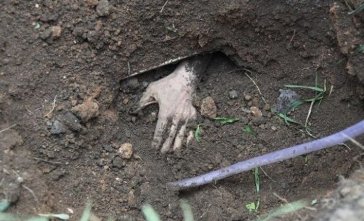 Тело убитой девочки нашли благодаря собаке, которая начала рыть землю в месте захоронения