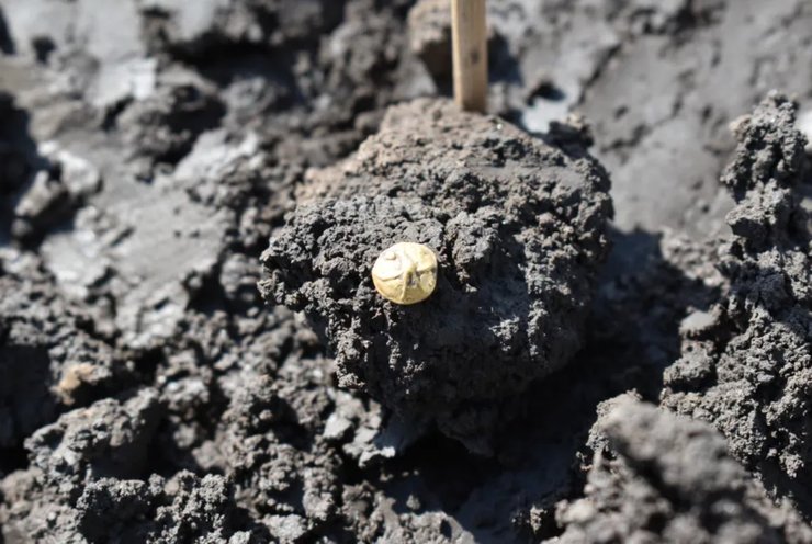 золота монета стародавнє поселення Чехія