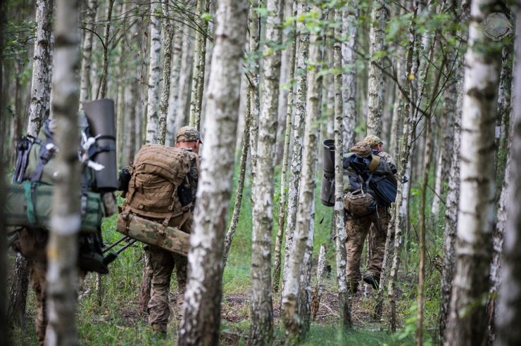 Командующему ССО будут подчиняться военные и правоохранители, участвующие в движении сопротивления