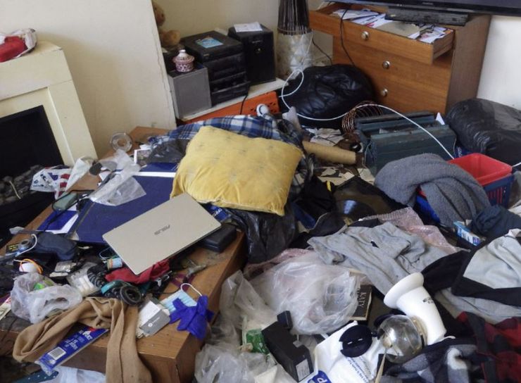 Кішка лишилась вдома сама на місяць і вижила, як їй це вдалось, неймовірна історія спасіння, курйози, цікаві історії