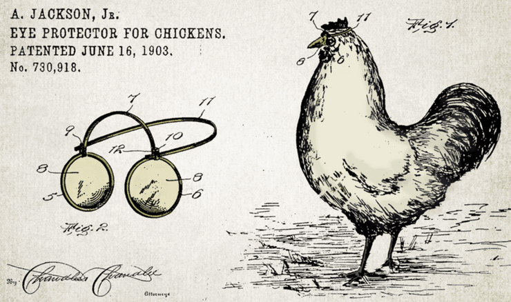 Иллюстрация очков для кур, разработанных для предотвращения агрессии и травм у птиц