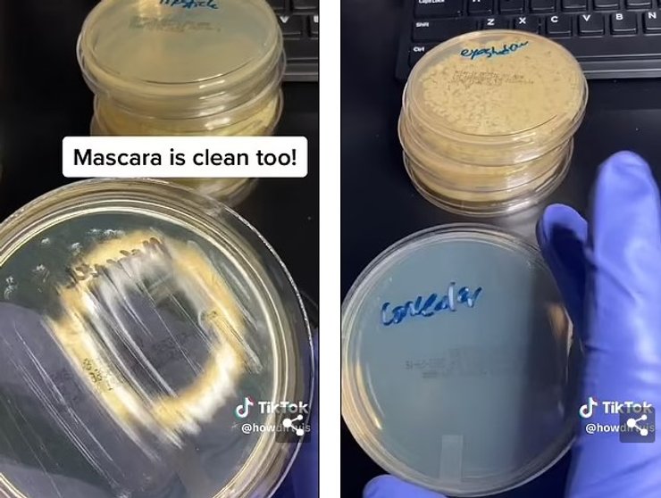 тушь образец