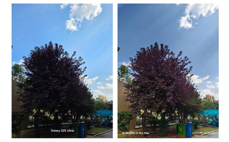 Samsung Galaxy S25 Ultra Xiaomi 17 Pro Max сравнение фото