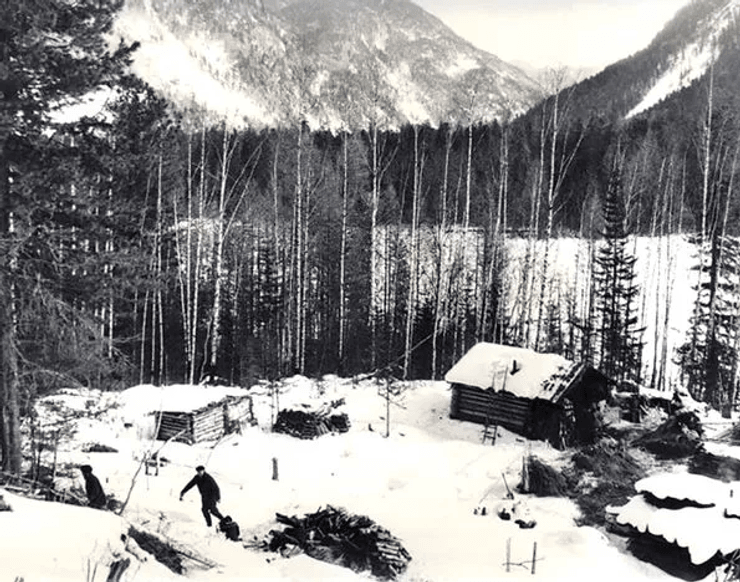 Семья жила в сибирском лесу, не знали о войне, жили в лесу, разговаривают на своем языке, умерли от голода, отрезанные от мира,