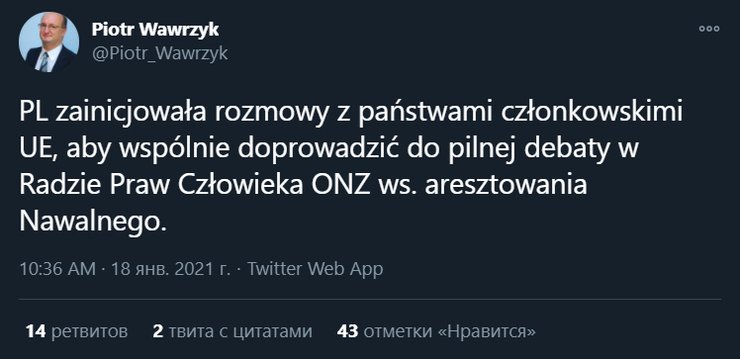 петр вавжик, польша, мид, навальный
