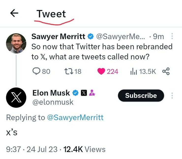 Twitter, Ілон Маск, X, як називати твіти