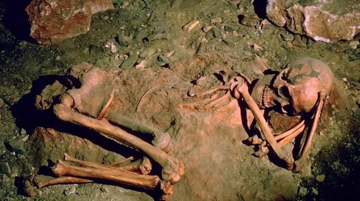 скелет, древний человек