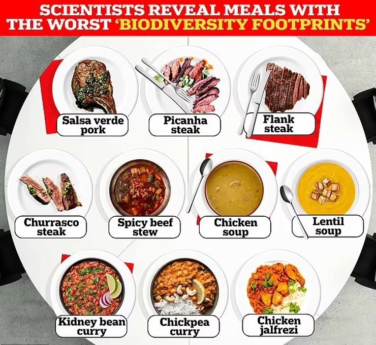 кулинария блюда климат