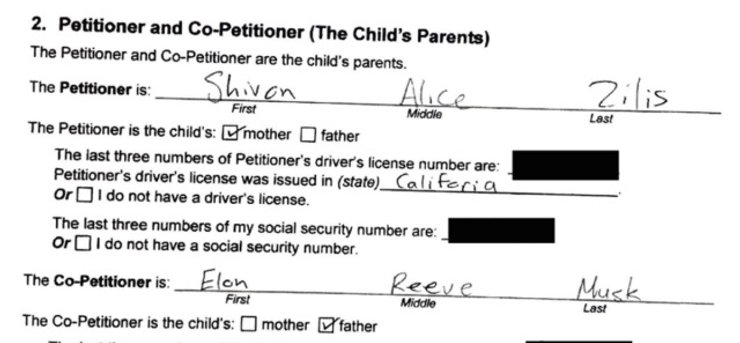 шивон зилис, илон маск, дети, близнецы, тайное рождение, илон маск отец