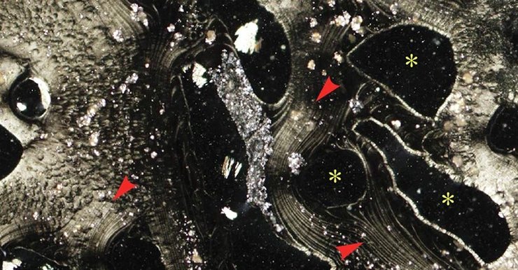 гидротермальные источники