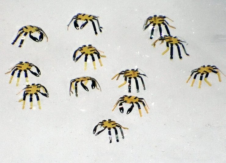 роботы, роботы-крабы