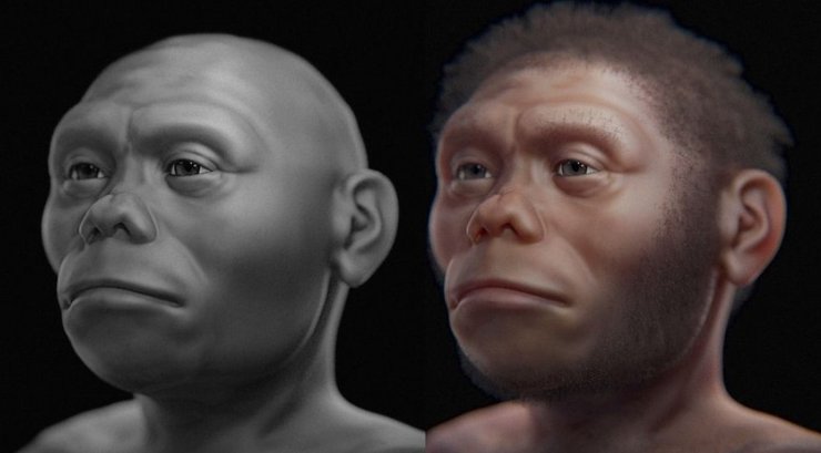 Homo floresiensis, хоббит, реконструкция лица, череп, палеореконструкция, 3D-моделирование, реконструкция лица по черепу