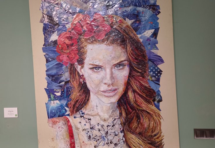 Саша Чічкан "Лана Дель Рей" 2013