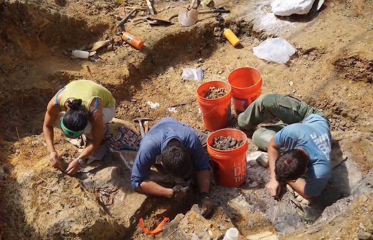 раскопки, люди, кости, снимок