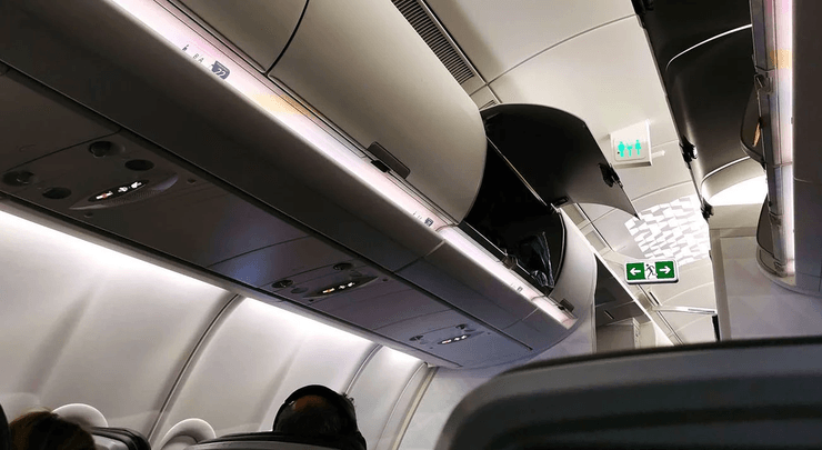 Багаж у літаку, літак, рейс, гнила риба, личинки, посипалися на голову личинки, рейс скасували,