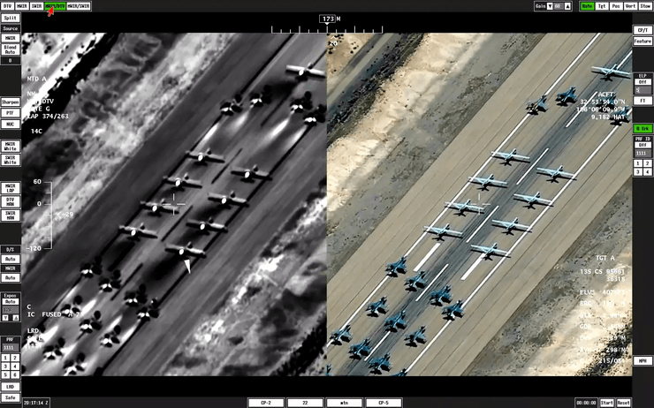 прогулка слонов