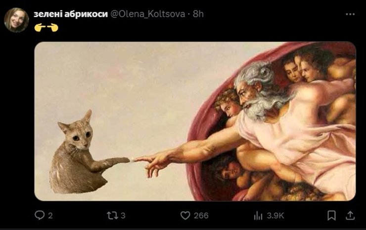 Рыжий кот, мем, фото