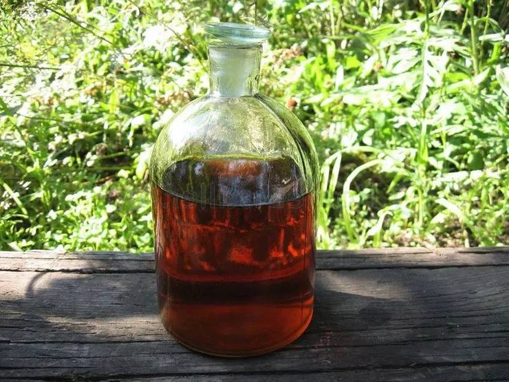 Рецепт паски, які випікали наші предки в Карпатах, як приготувати паску на Великдень