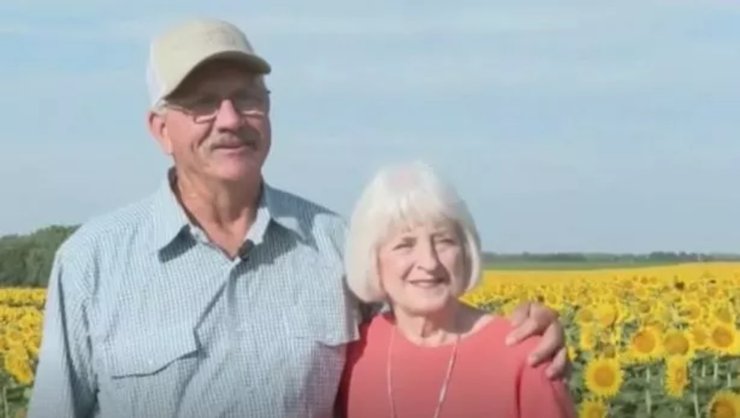 Поле соняшників, чоловік і дружина, подарунок на річницю, поле, соняшники, фермер, 50 річниця весілля, подарунок, сюрприз
