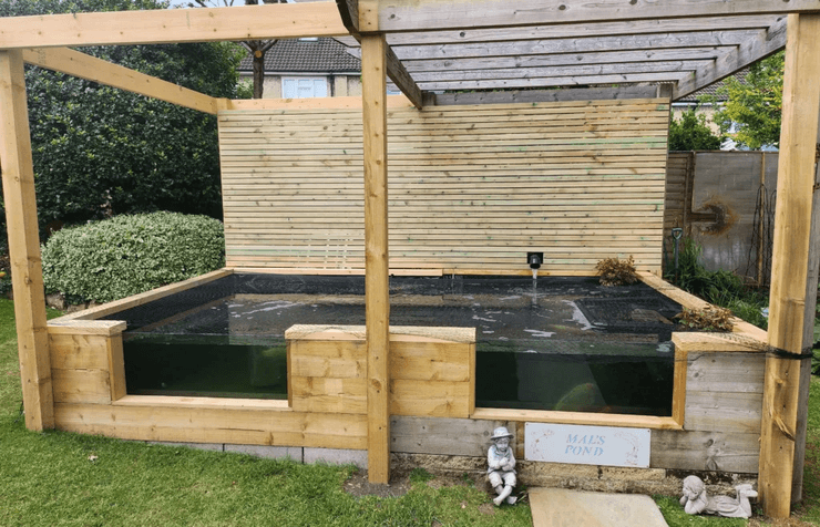 Риба з людським обличчям, яку називають "безцінною", підкорила користувачів соцмереж