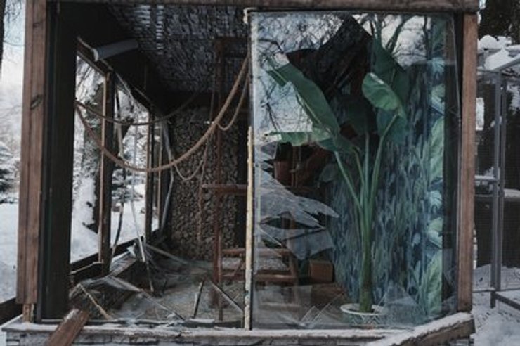 Удар ЗС РФ по Фельдман Екопарк під Харковом