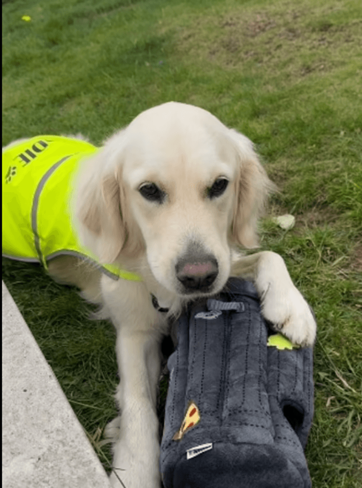 Мэдди в жилете