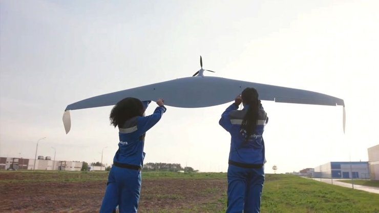 альбатрос, алабуга