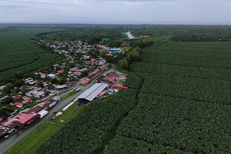 United Fruit Company, бананова плантація