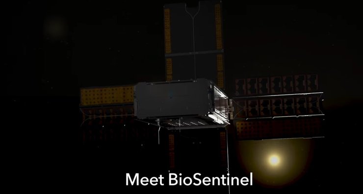 Супутник BioSentinel