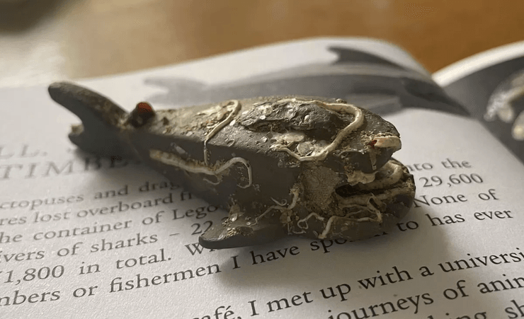 Вантажний корабель, хвиля змила контейнери, безцінні деталі Лего, конструктор Лего, акула Лего, Lego, судно, корабель, мисливці на скарби