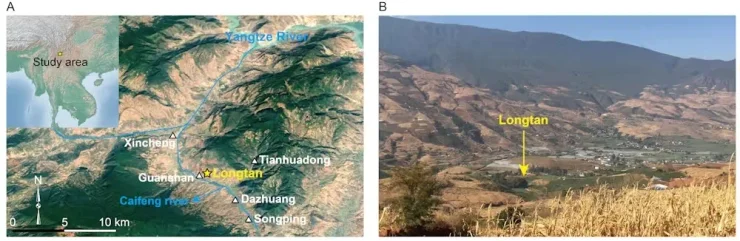 місце досліджень, археологи, Лонгтан