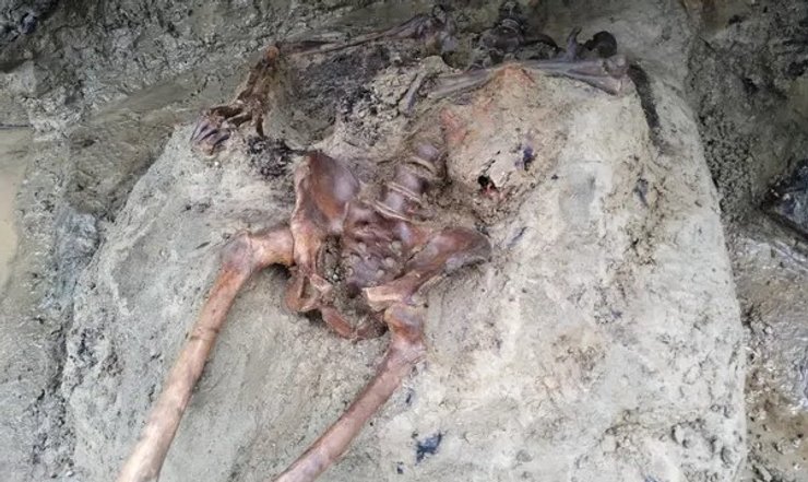 Скелет Геркуланум