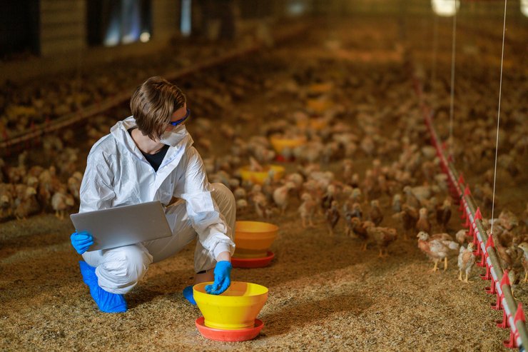 проблемы на границе с Польшей, Польша блокировка границ, польский транзит из Украины, экспорт зерна из Украины, польские фермеры страйк, польские фермеры протесты